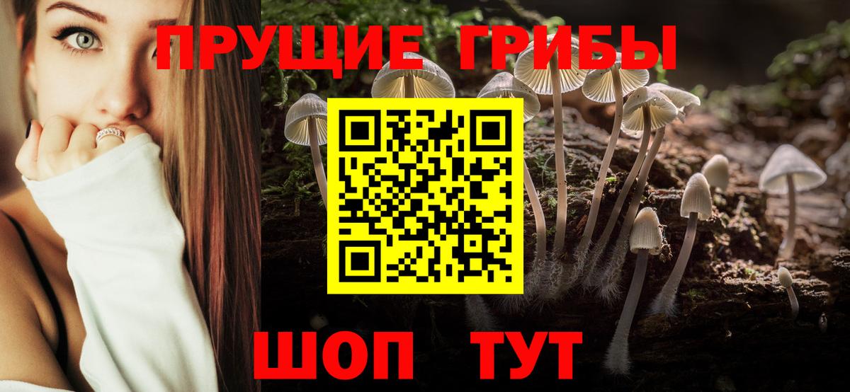 как найти наркотики  Вход с VPN  Хасавюрт  Галлюциногенные грибы мицелий 